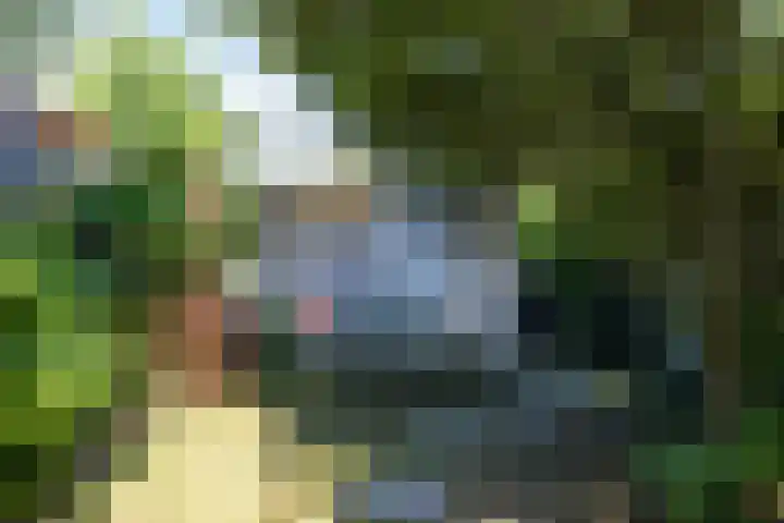van Duijvenvoordestraat 53 Breda thumbnail 44
