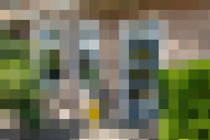 van Duijvenvoordestraat 53 Breda thumbnail 5