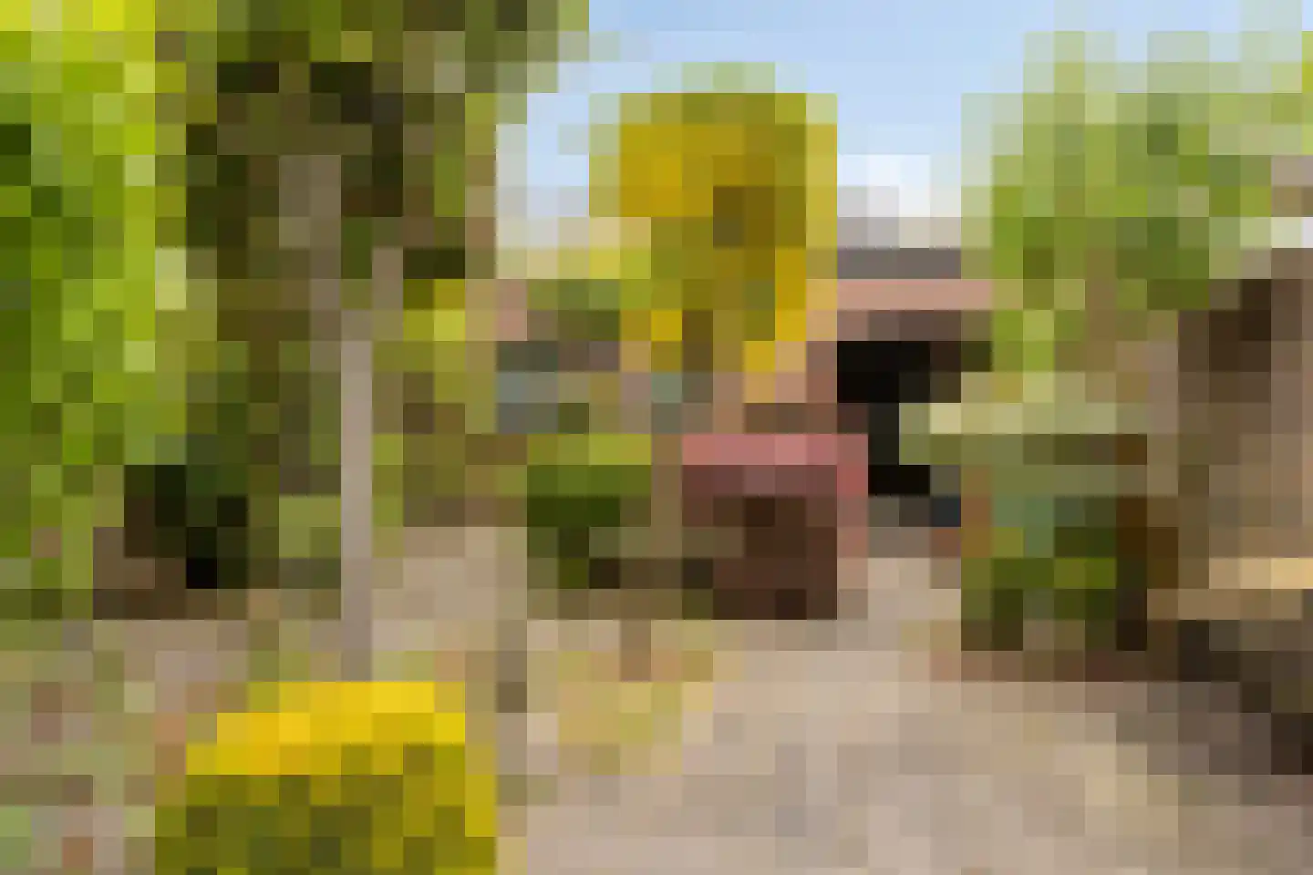 van Duijvenvoordestraat 54 Breda thumbnail 17