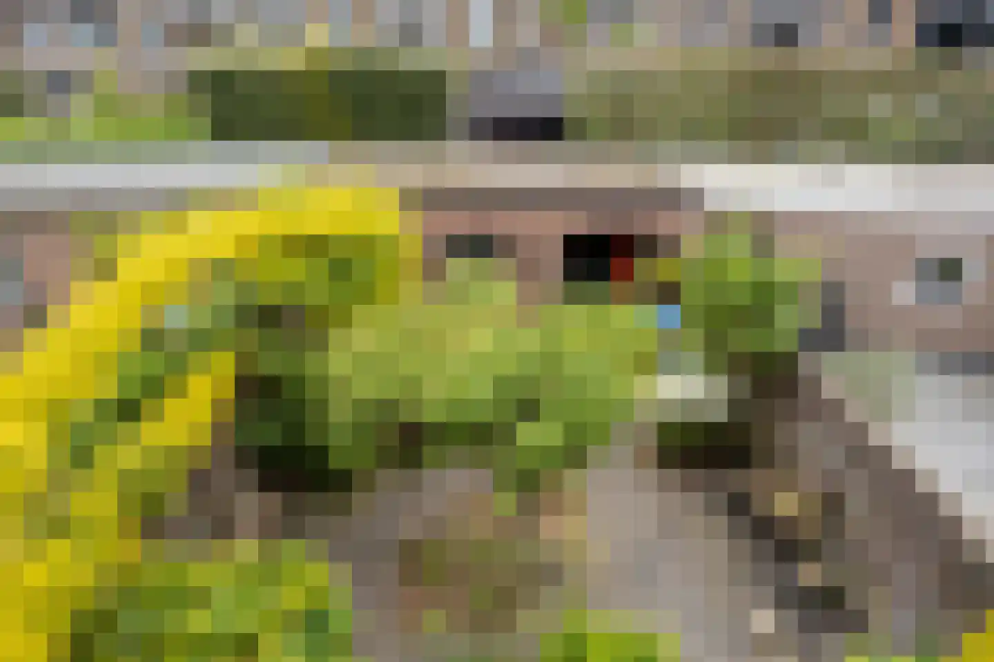 van Duijvenvoordestraat 54 Breda thumbnail 30