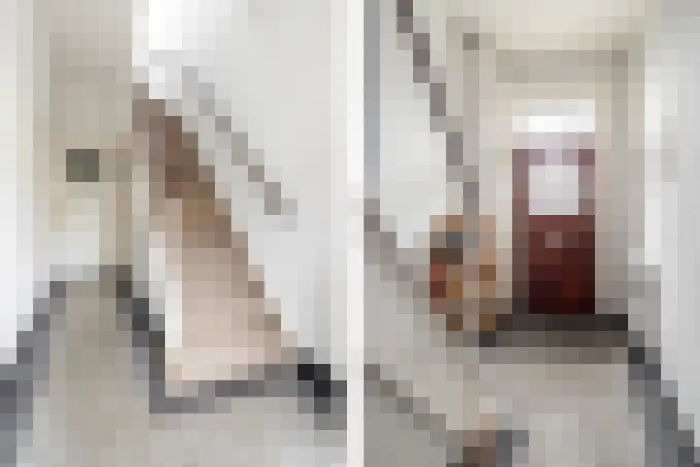 van Duijvenvoordestraat 65 Breda thumbnail 7