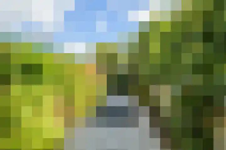 van Duijvenvoordestraat 72 Breda thumbnail 26