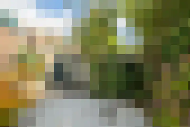 van Duijvenvoordestraat 72 Breda thumbnail 27