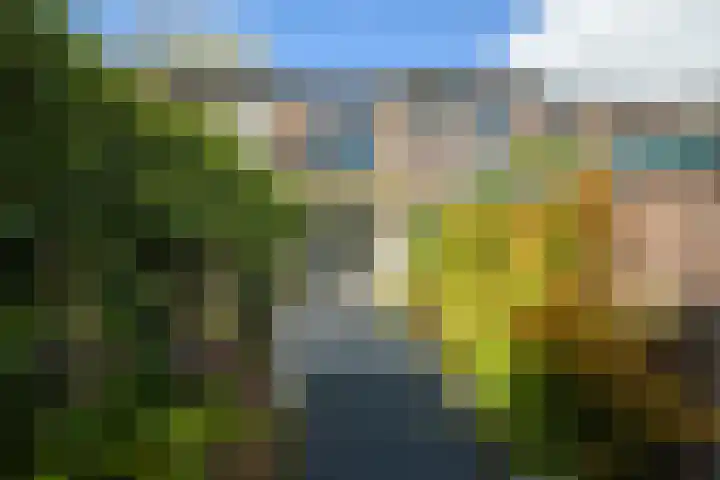 van Duijvenvoordestraat 72 Breda thumbnail 28