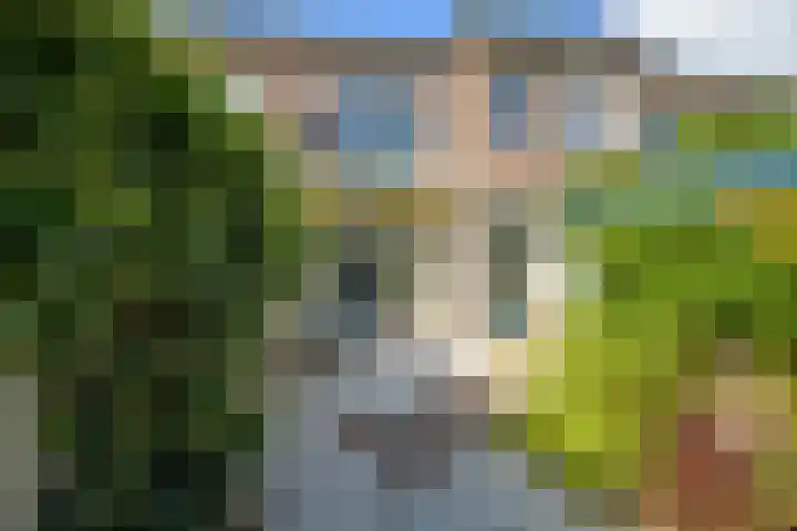 van Duijvenvoordestraat 72 Breda thumbnail 29