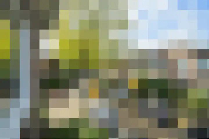 van Duijvenvoordestraat 72 Breda thumbnail 37