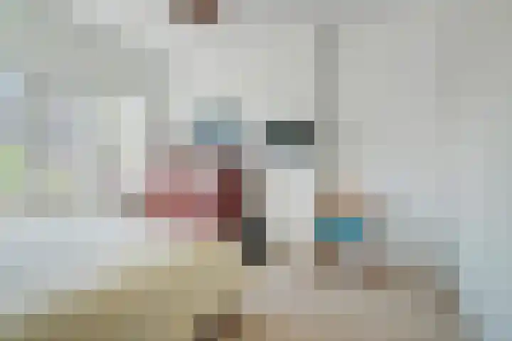 van Duijvenvoordestraat 72 Breda thumbnail 39
