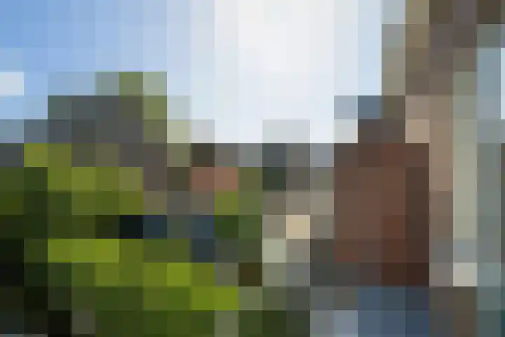 van Duijvenvoordestraat 72 Breda thumbnail 44