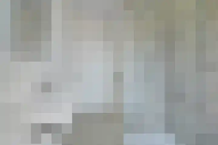 van Duijvenvoordestraat 72 Breda thumbnail 5