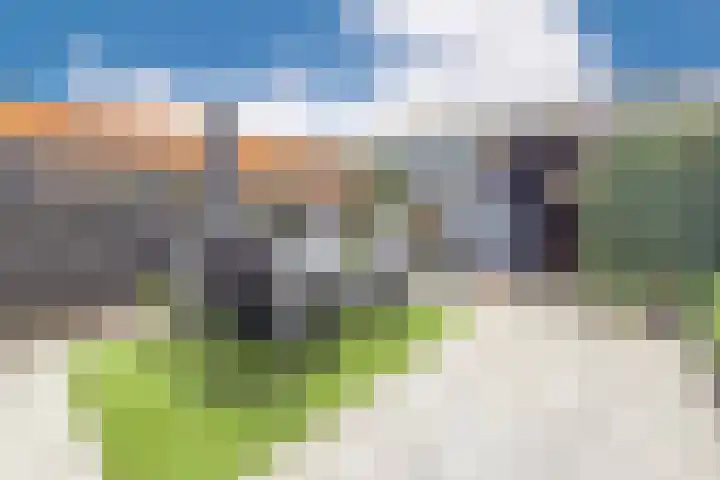 Van Duin-akker 8 Barendrecht thumbnail 9