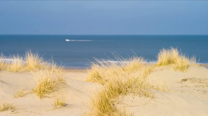 Kantoor foto van Van Duinen Makelaars