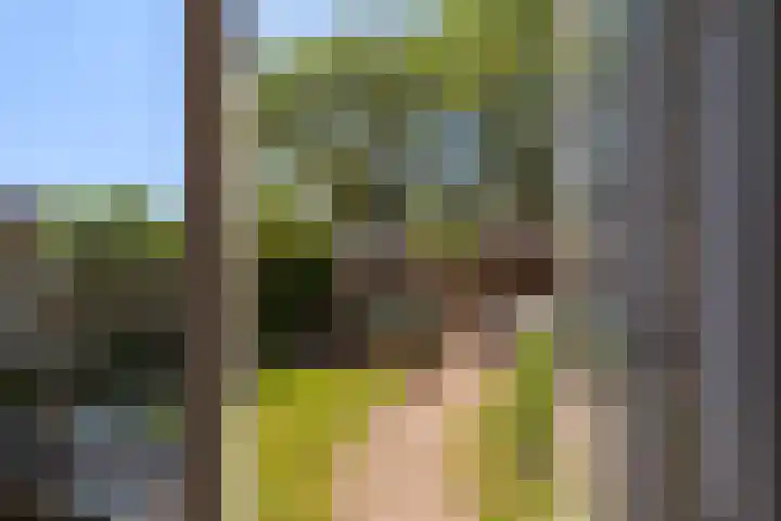 Van Duivenvoordelaan 113 Wassenaar thumbnail 23