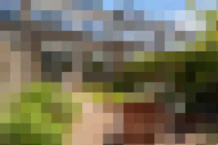 Van Duivenvoordelaan 113 Wassenaar thumbnail 24