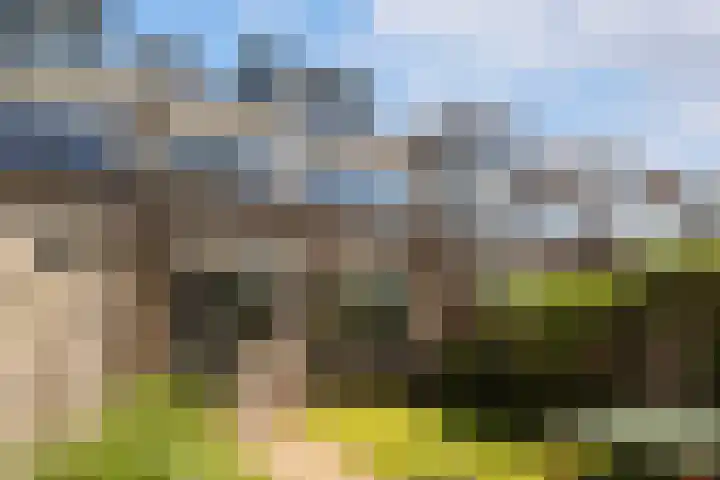 Van Duivenvoordelaan 113 Wassenaar thumbnail 25