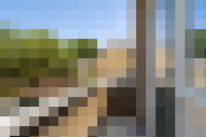 Van Duivenvoordelaan 113 Wassenaar thumbnail 37