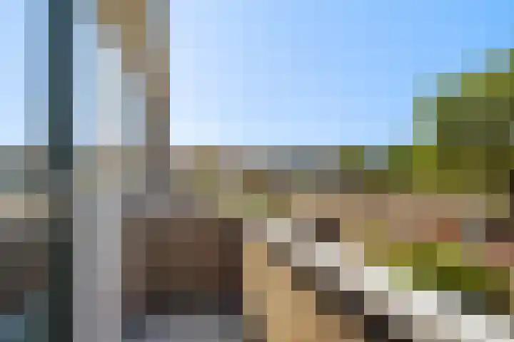 Van Duivenvoordelaan 113 Wassenaar thumbnail 38