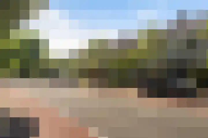 Van Duivenvoordelaan 113 Wassenaar thumbnail 4