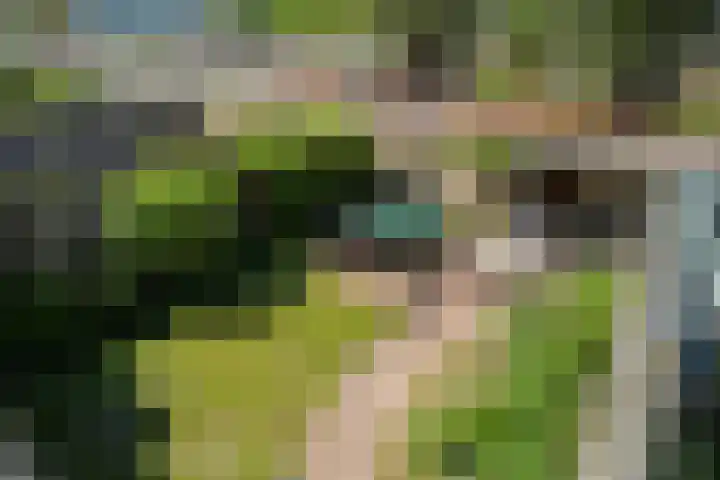 Van Duivenvoordelaan 113 Wassenaar thumbnail 46