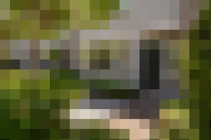 Van Duivenvoordelaan 113 Wassenaar thumbnail 5