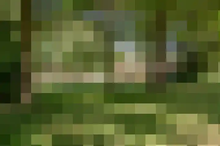 Van Duivenvoordelaan 113 Wassenaar thumbnail 51