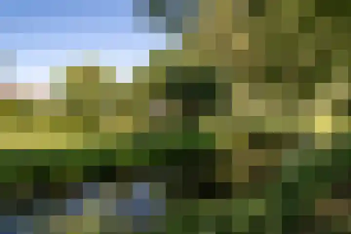 Van Duivenvoordelaan 113 Wassenaar thumbnail 52