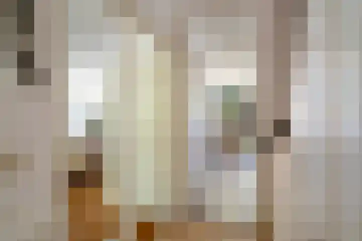 Van Duivenvoordelaan 113 Wassenaar thumbnail 9