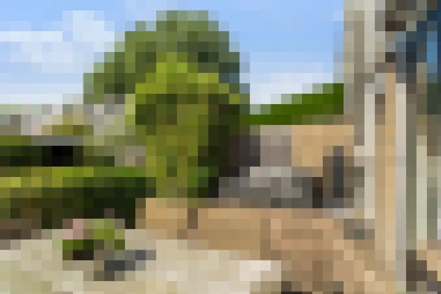 Van Duivenvoordelaan 129 Wassenaar thumbnail 20
