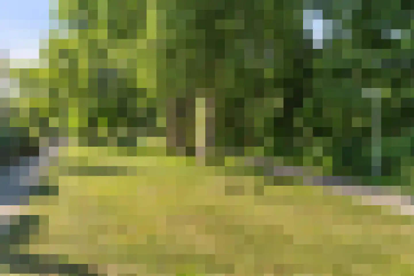 Van Duivenvoordelaan 129 Wassenaar thumbnail 44