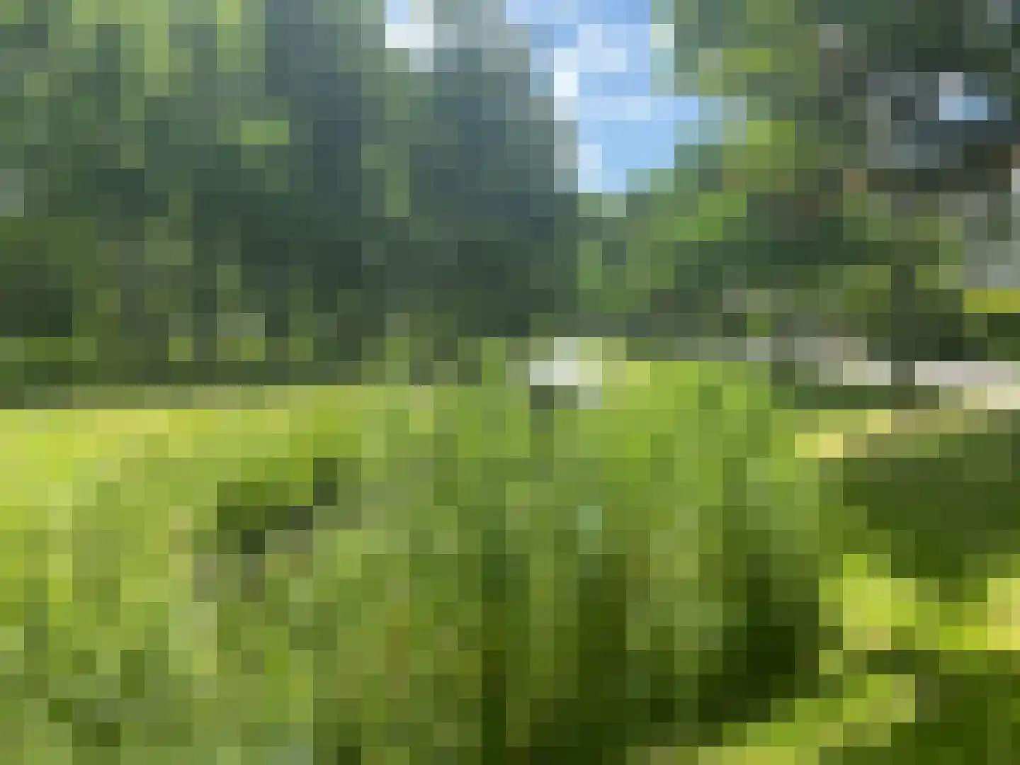 Van Duivenvoordelaan 129 Wassenaar thumbnail 47