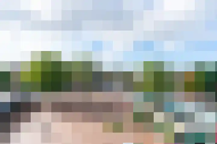 Van Duivenvoordelaan 14 Wassenaar thumbnail 29