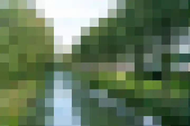 Van Duivenvoordelaan 14 Wassenaar thumbnail 34
