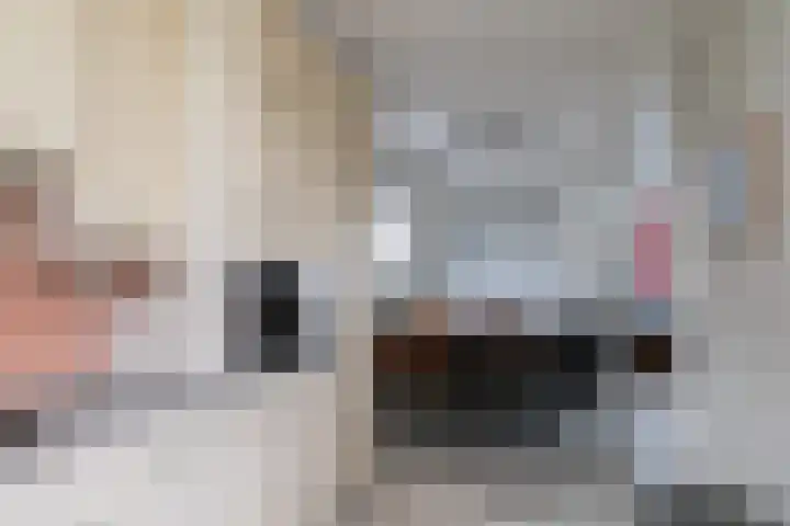van Duivenvoordelaan 29 Geertruidenberg thumbnail 19