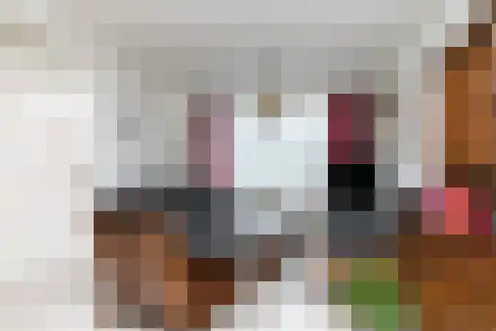 van Duivenvoordelaan 29 Geertruidenberg thumbnail 21