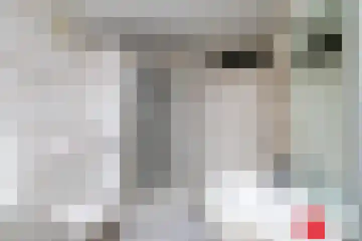 van Duivenvoordelaan 29 Geertruidenberg thumbnail 30