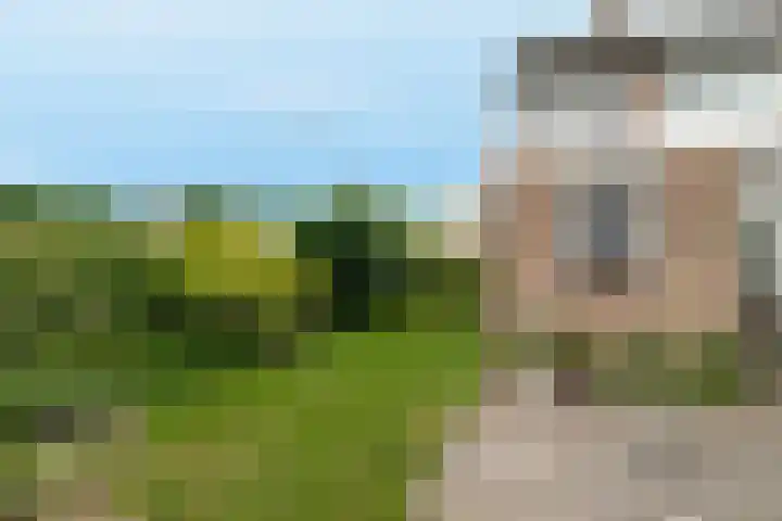 van Duivenvoordelaan 29 Geertruidenberg thumbnail 33