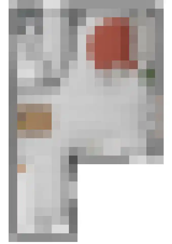 van Duivenvoordelaan 29 Geertruidenberg thumbnail 42