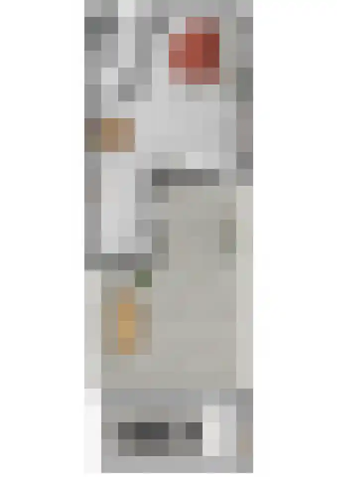 van Duivenvoordelaan 29 Geertruidenberg thumbnail 46