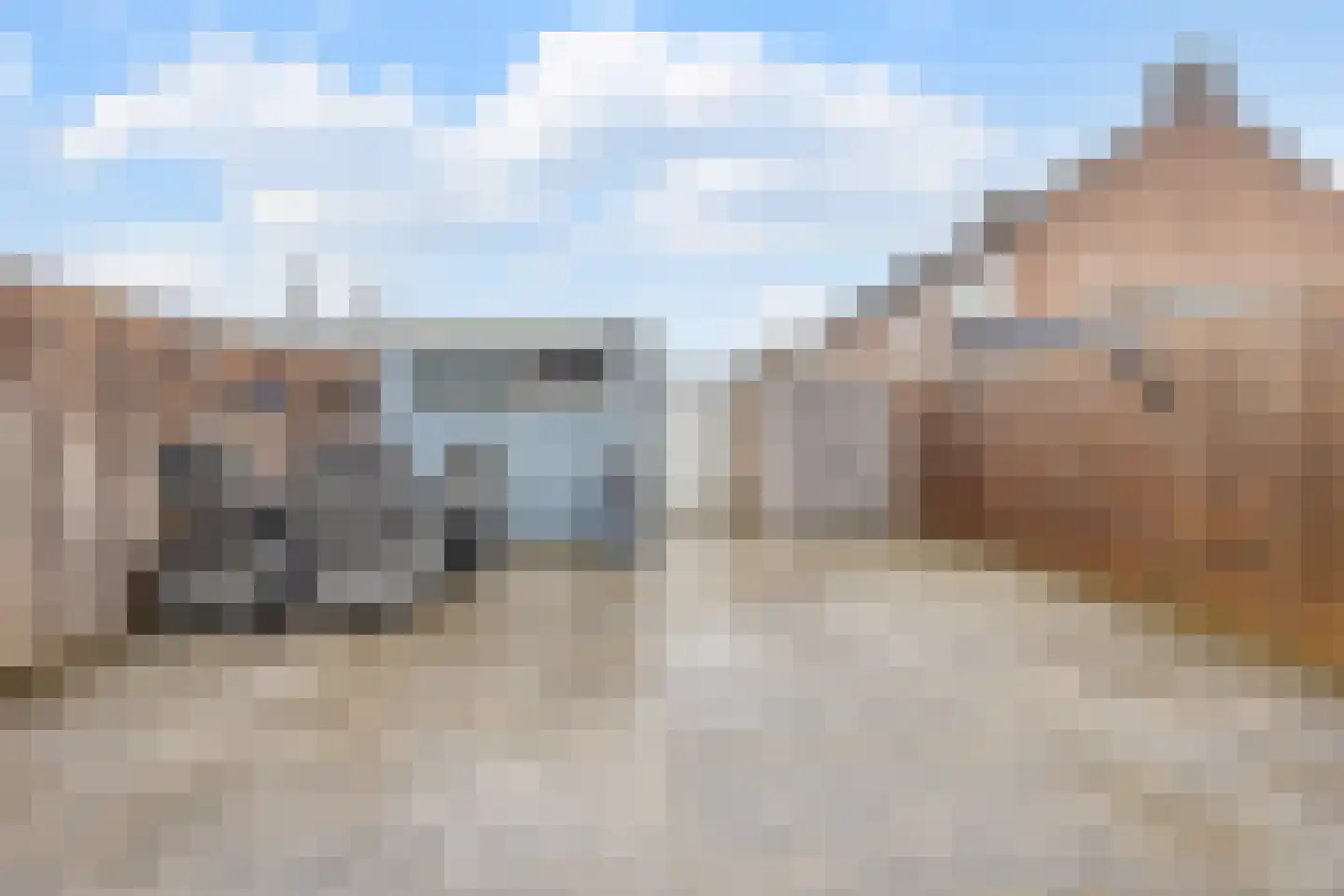 van Duivenvoordelaan 33 Geertruidenberg thumbnail 31