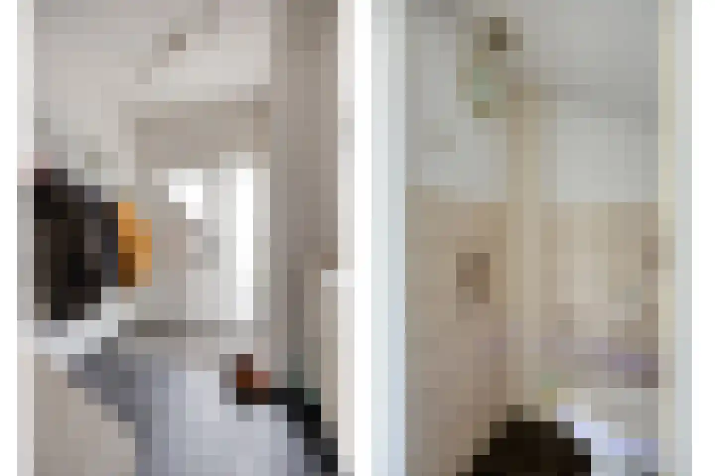 Van Duivenvoordestraat 25 Lage Zwaluwe thumbnail 14