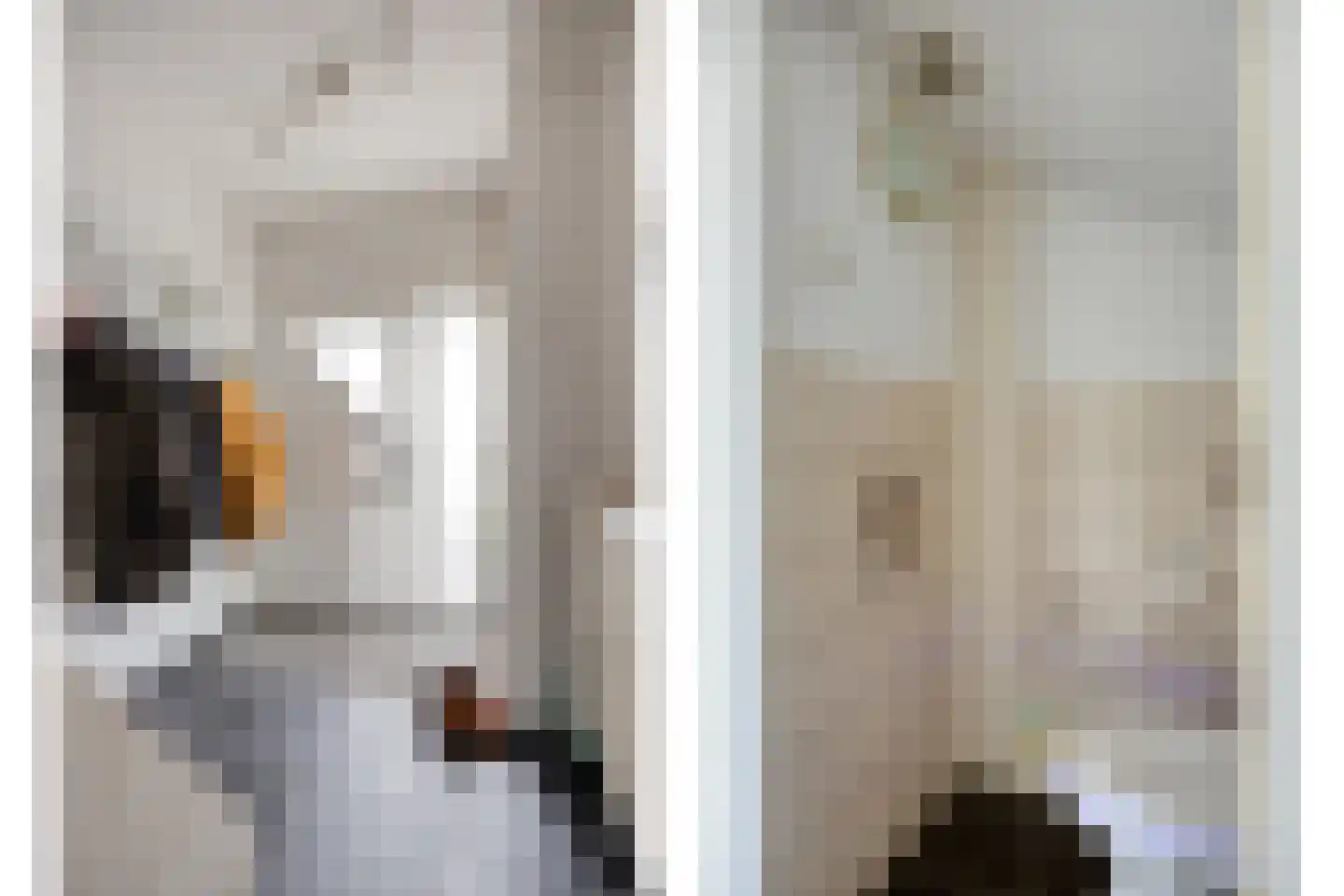 Van Duivenvoordestraat 25 Lage Zwaluwe thumbnail 14