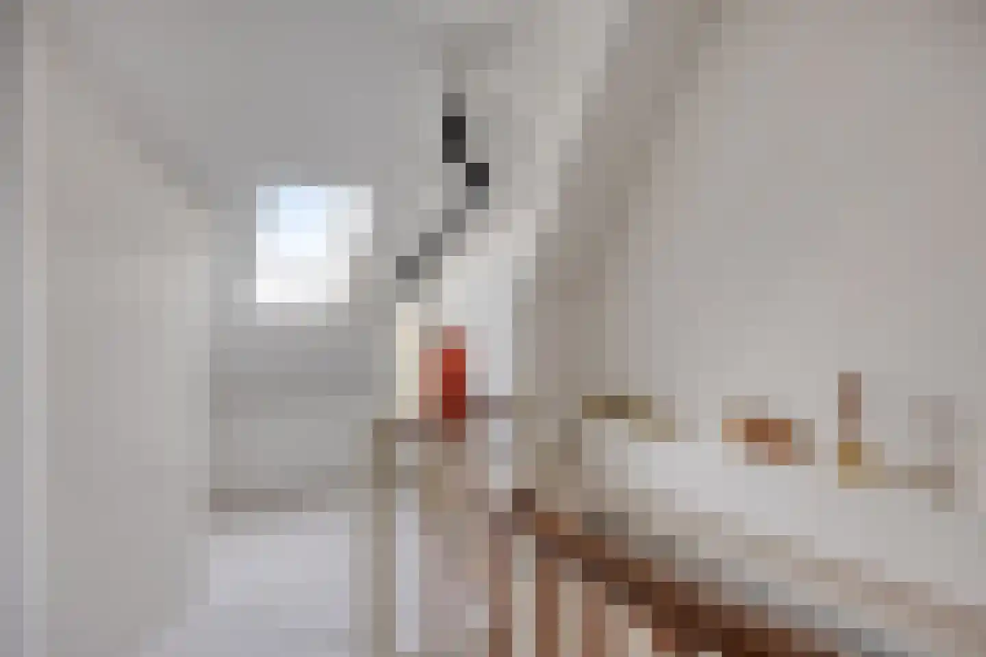 Van Duivenvoordestraat 25 Lage Zwaluwe thumbnail 23