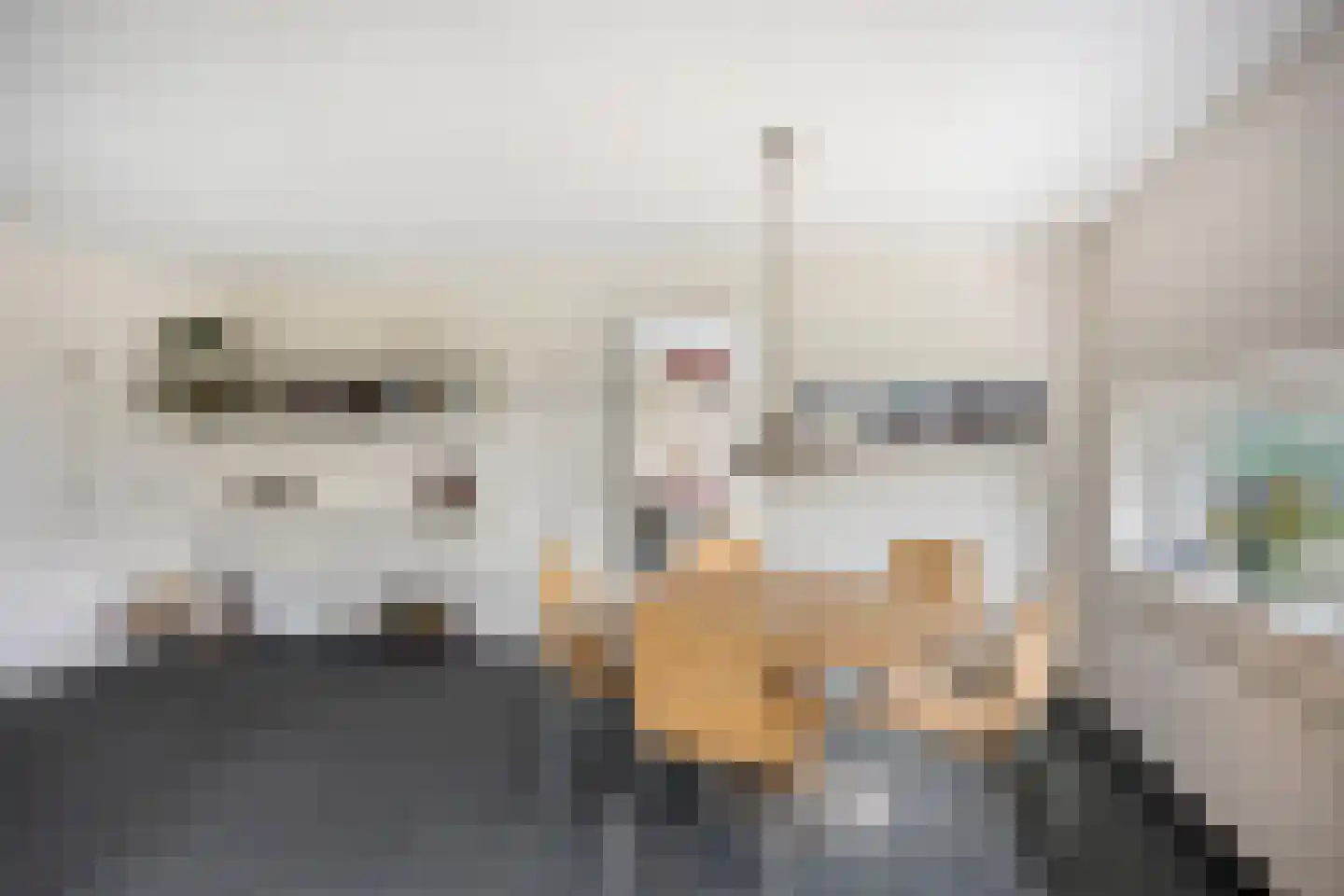 van Duivenvoordestraat 26 Heerhugowaard thumbnail 23