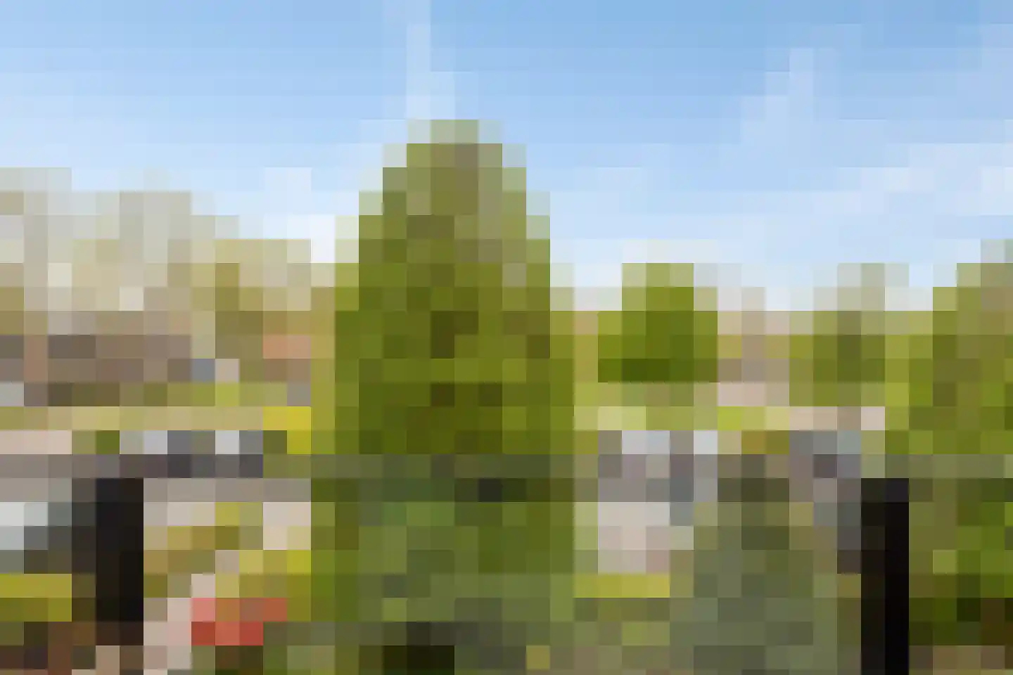 van Duivenvoordestraat 26 Heerhugowaard thumbnail 34