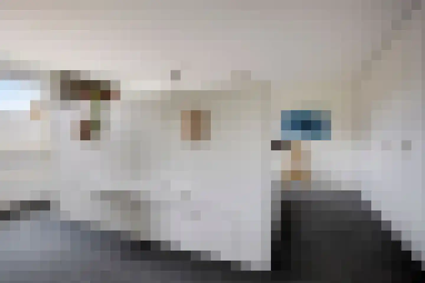 van Duivenvoordestraat 26 Heerhugowaard thumbnail 35