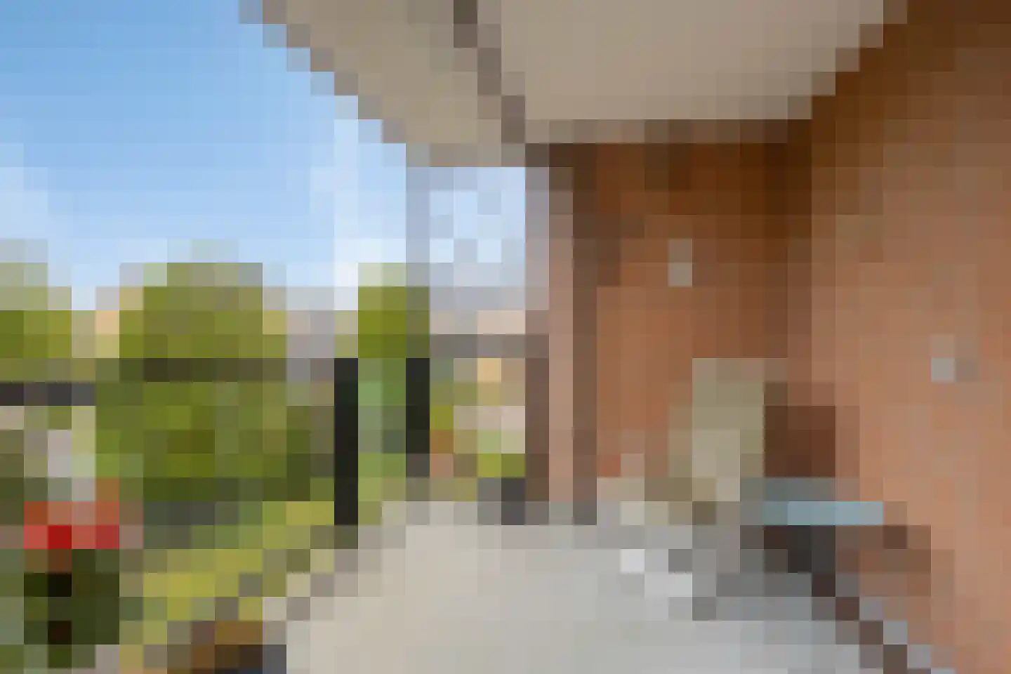van Duivenvoordestraat 26 Heerhugowaard thumbnail 5