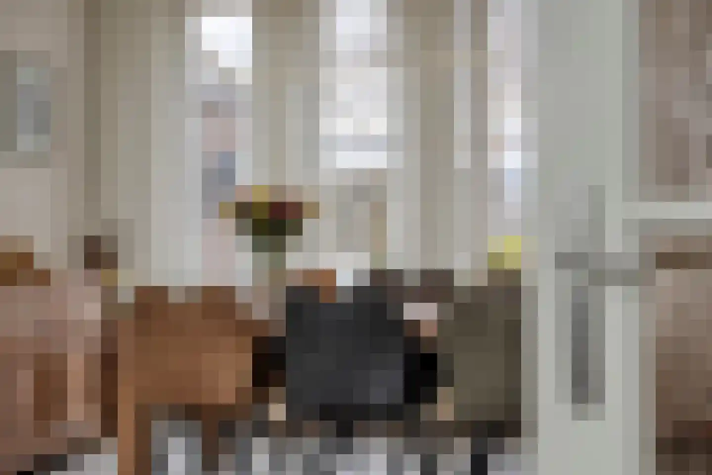 Van Duivenvoordestraat 33 Lage Zwaluwe thumbnail 11