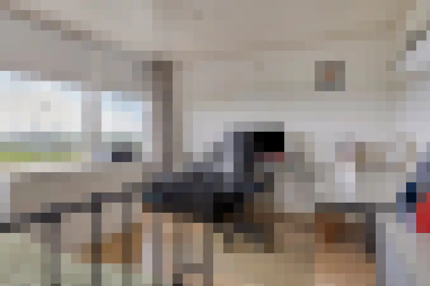 Van Duivenvoordestraat 33 Lage Zwaluwe thumbnail 19