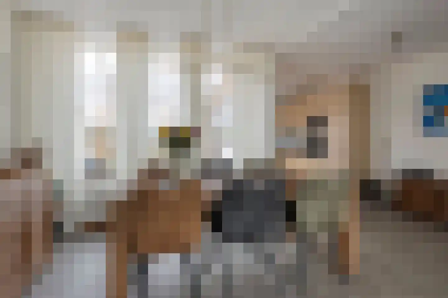 Van Duivenvoordestraat 33 Lage Zwaluwe thumbnail 8