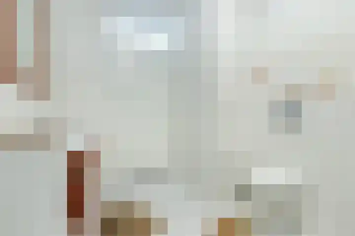 van Duivenvoordestraat 62 Heerhugowaard thumbnail 37