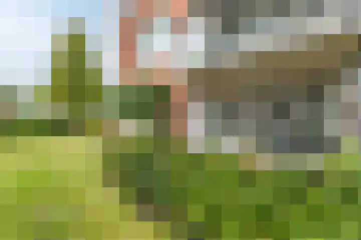 van Duivenvoordestraat 62 Heerhugowaard thumbnail 45